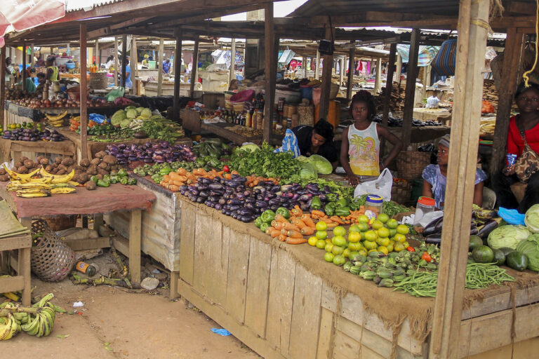 Gabon – vie chère : les autorités s’engagent